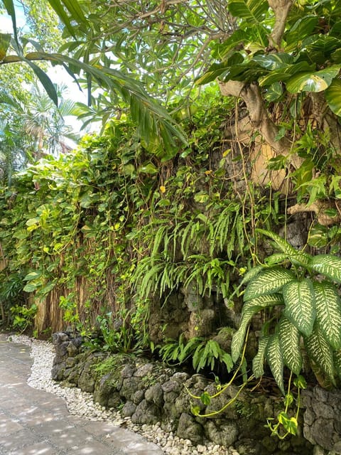 Natural landscape, Garden, Garden view