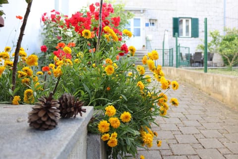 Spring, Day, Garden, Garden, Balcony/Terrace, Garden view, Location