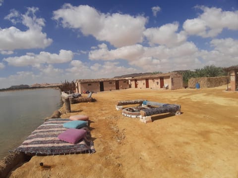 Lake view