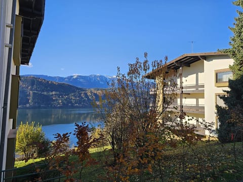 Lake view