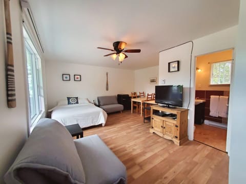 Bed, TV and multimedia, Living room, Photo of the whole room, Seating area, Dining area, Bedroom, fireplace