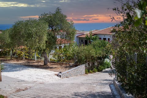 Giola Apartments And studios 1 Apartment in Thasos