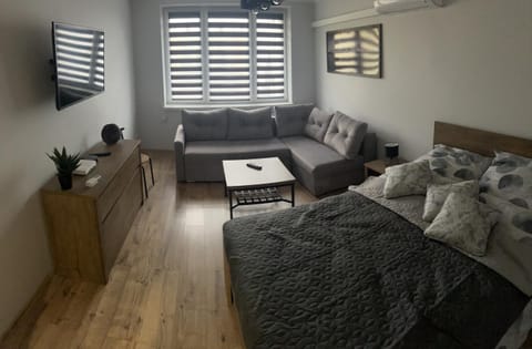 Living room, Photo of the whole room, Seating area