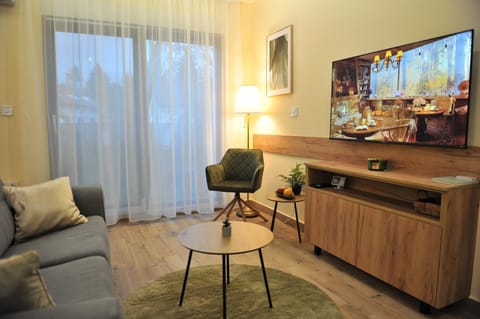 TV and multimedia, Living room, Seating area, Evening entertainment