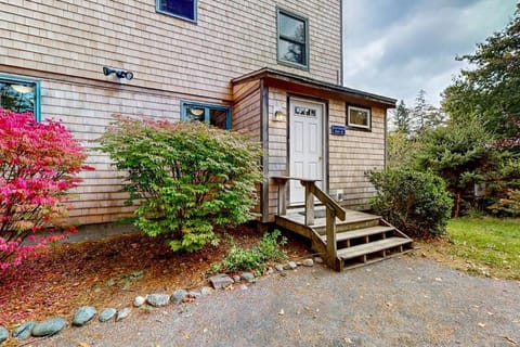 Property building, Day, Garden view