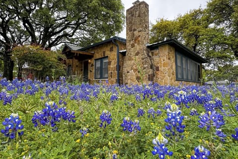 Blue Haus House in Johnson City