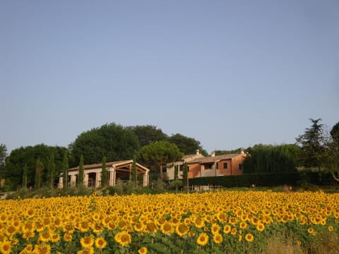 Spring, Garden