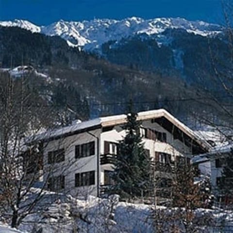 Property building, Winter