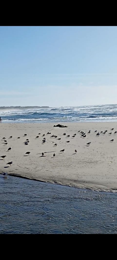 Atico maravilloso en Cangas , Vigo Vacation rental in Cangas