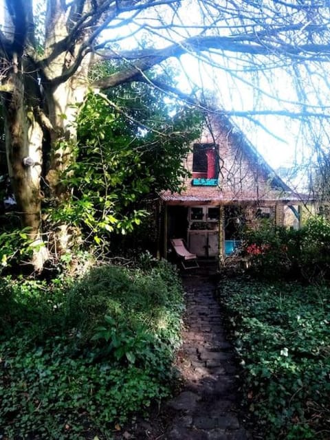Property building, Garden, Garden view