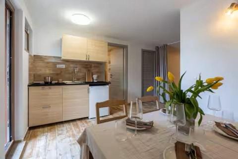 ApartVilla Trieste Apartment in Trieste