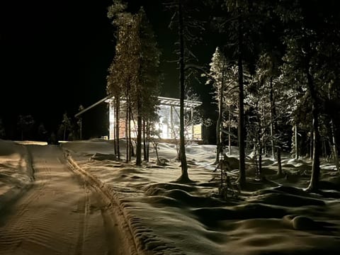 Property building, Night, Natural landscape, Winter