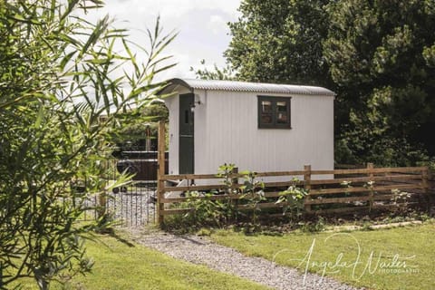 Property building, Spring, Day, Natural landscape, Garden, Garden view