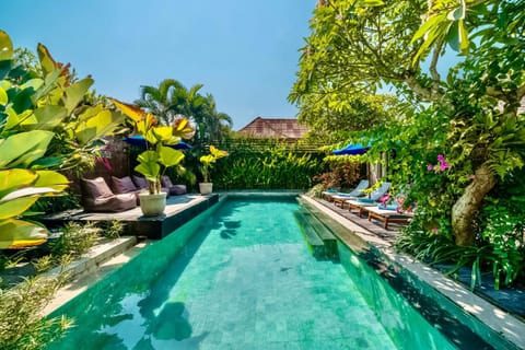 Garden, Pool view, Swimming pool