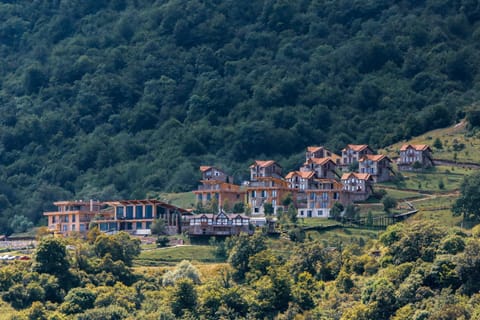 Natural landscape