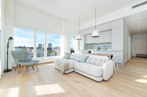 Kitchen or kitchenette, Living room, Seating area