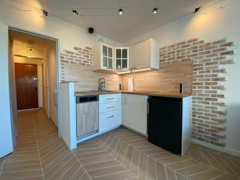 Kitchen or kitchenette, minibar, oven, stove