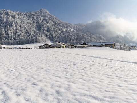 Winter, Area and facilities