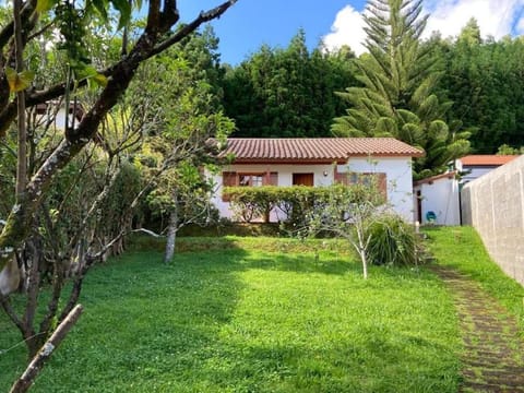 Property building, Garden, Garden view
