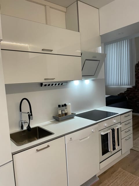 Cozzy apartment in old Rauma Apartment in Finland