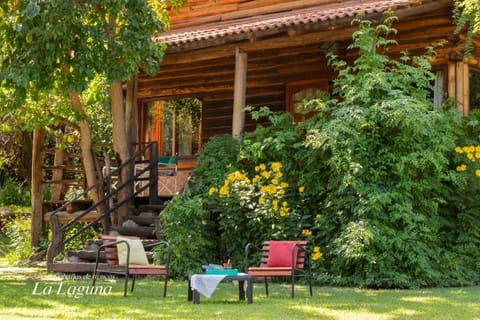 Natural landscape, Garden view