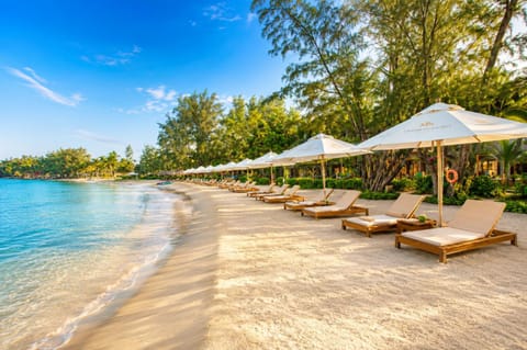 Natural landscape, Beach, Sea view, sunbed