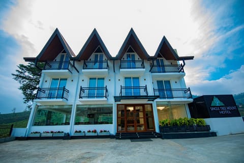 Property building, Day
