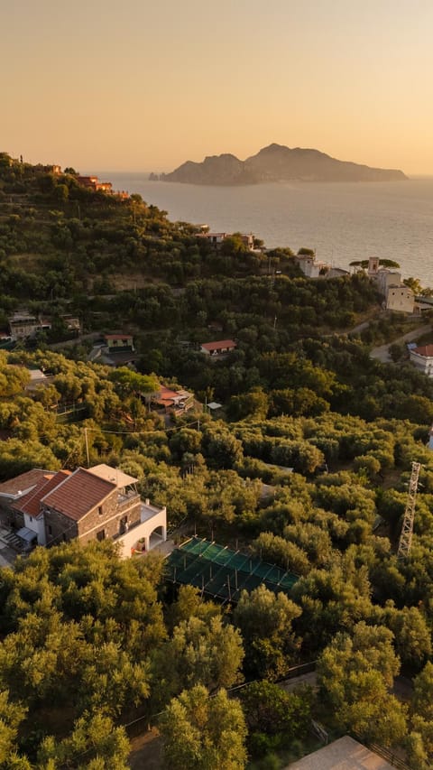 Natural landscape, Bird's eye view, Sea view, Sunset
