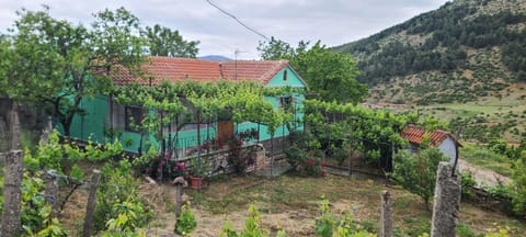 Property building, Garden, Garden view