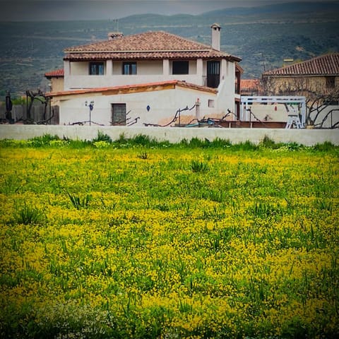 Property building, Natural landscape