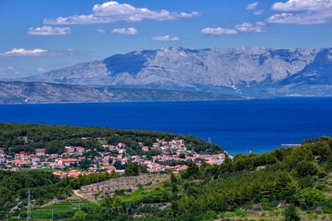 City view, Mountain view, Sea view