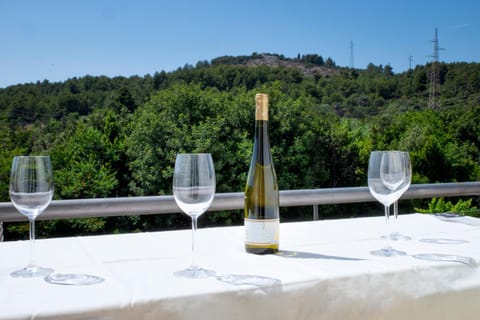 Apartments Marković Apartment in Stari Grad