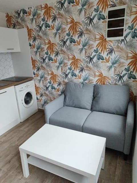 Kitchen or kitchenette, Seating area, washing machine