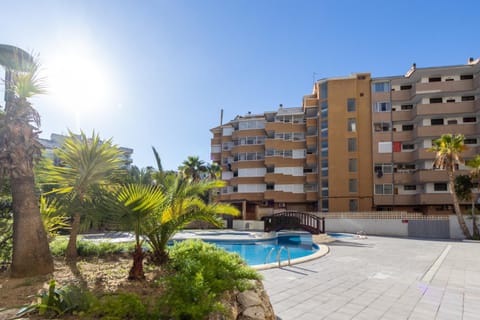 Day, Pool view, Swimming pool