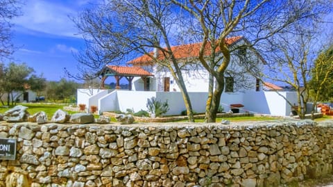 Day, Garden view