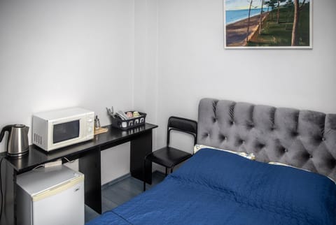 Bed, Kitchen or kitchenette, Living room