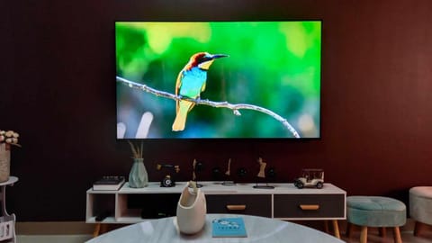 TV and multimedia