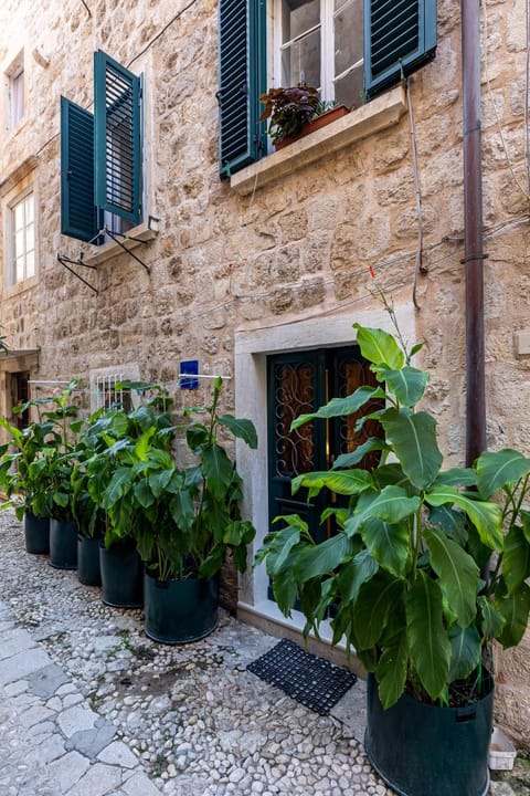 Property building, Day, Garden, Garden view