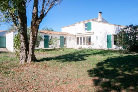 Patio, Garden, Garden view