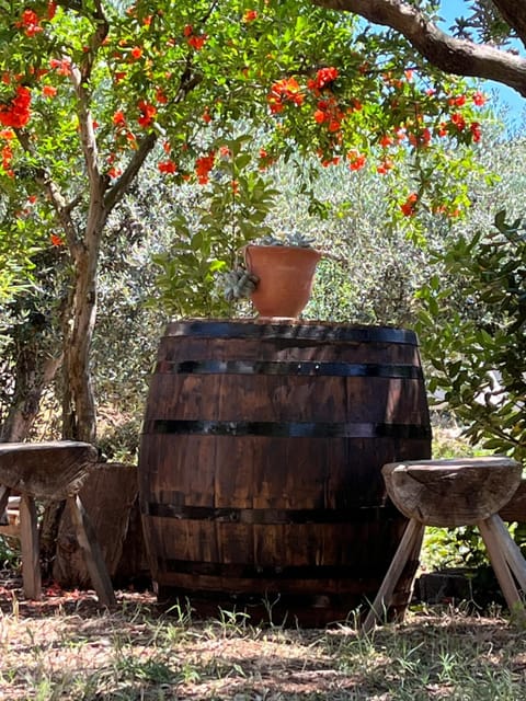 Apartment Ružica Apartment in Šibenik-Knin County, Croatia