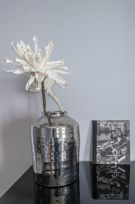 L'ANTHRACITE - Proche Opéra & Centre-ville Apartment in Auvergne-Rhône-Alpes