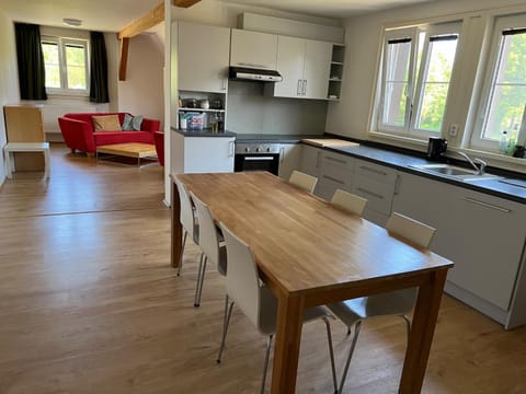 Kitchen or kitchenette, Living room, Dining area, minibar, pet friendly, stove