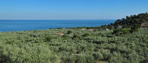 Property logo or sign, Balcony/Terrace, Mountain view, Sea view