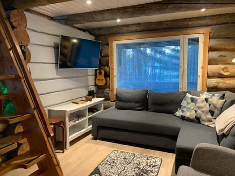 Kaupinpirtti, Ylläs, Äkäslompolo, , Lapland - Silver Log Cabin with Lake and Fell Scenery Cabin in Norrbotten County, Sweden