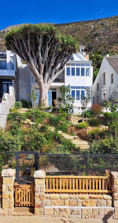 Property building, Garden view