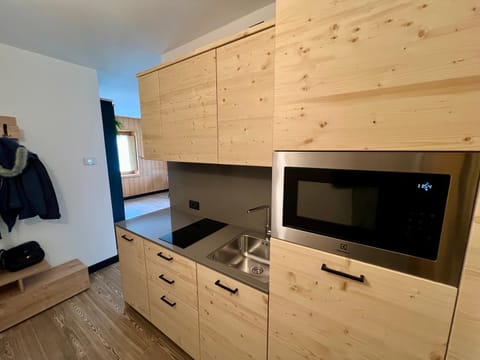 Kitchen or kitchenette, dishwasher, minibar, stove