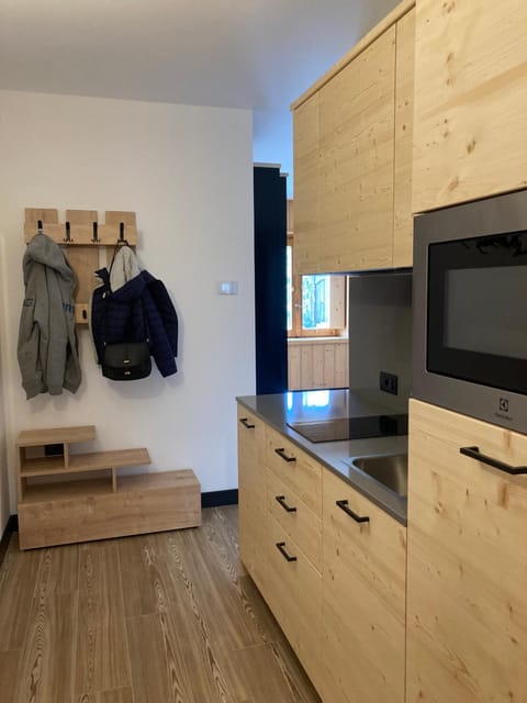 Kitchen or kitchenette, minibar, stove