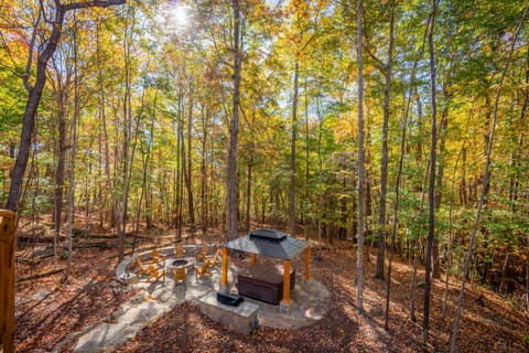 Natural landscape, BBQ facilities, Hot Tub, flat iron