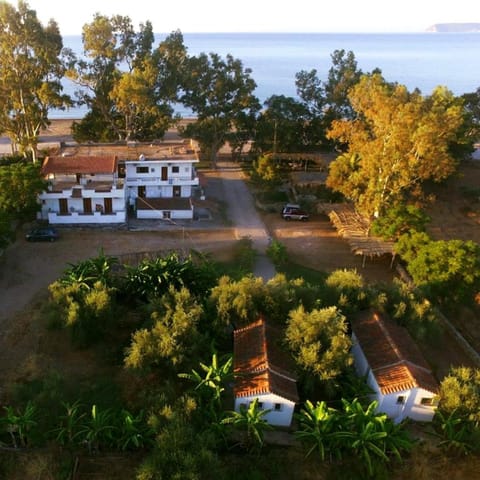 Bird's eye view, Location