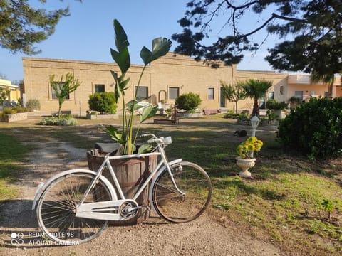 Day, Garden, Cycling, Garden view